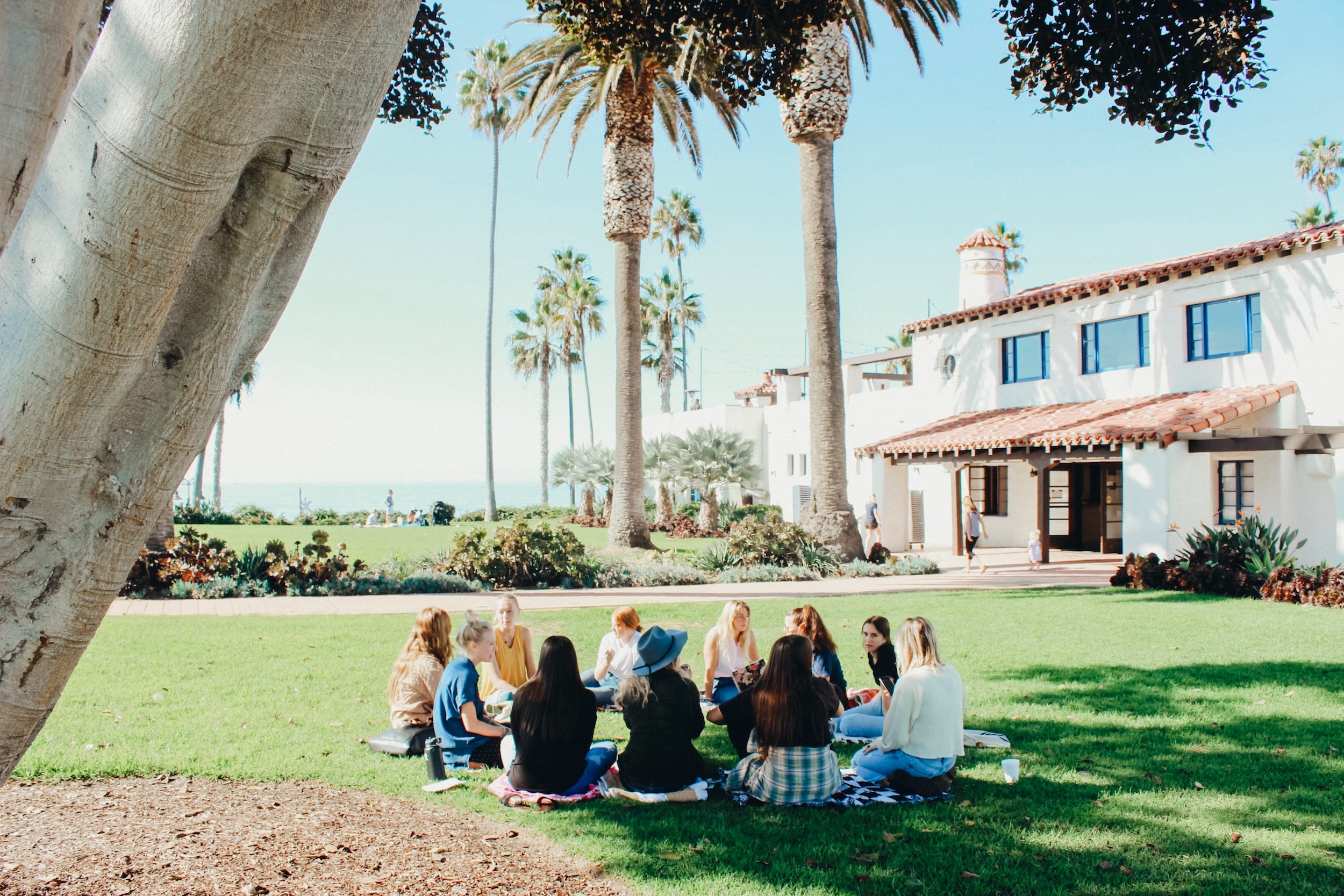 A group of men and women sit in a circle beneath a tree.