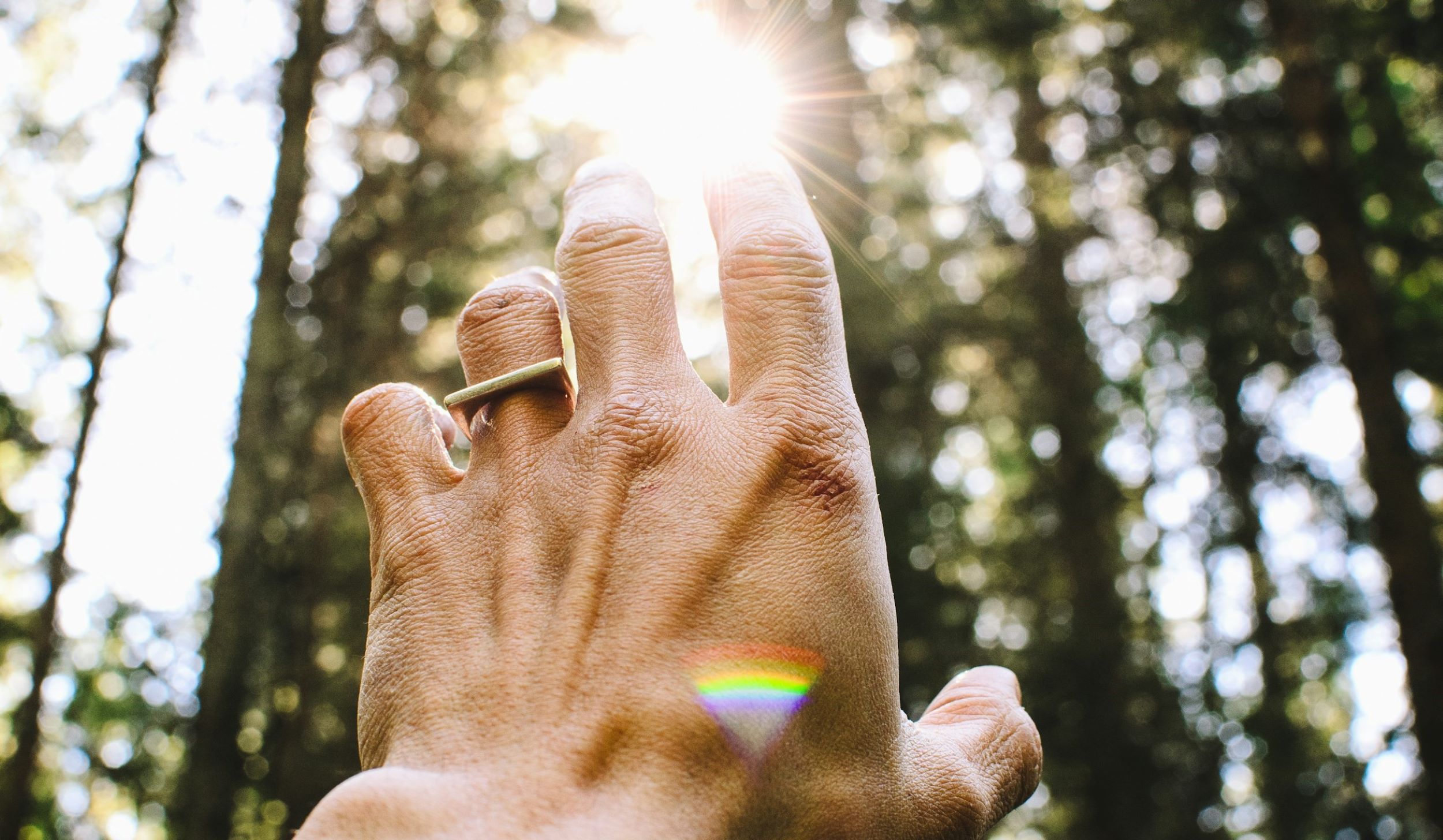 A single hand reaches out toward the sun.