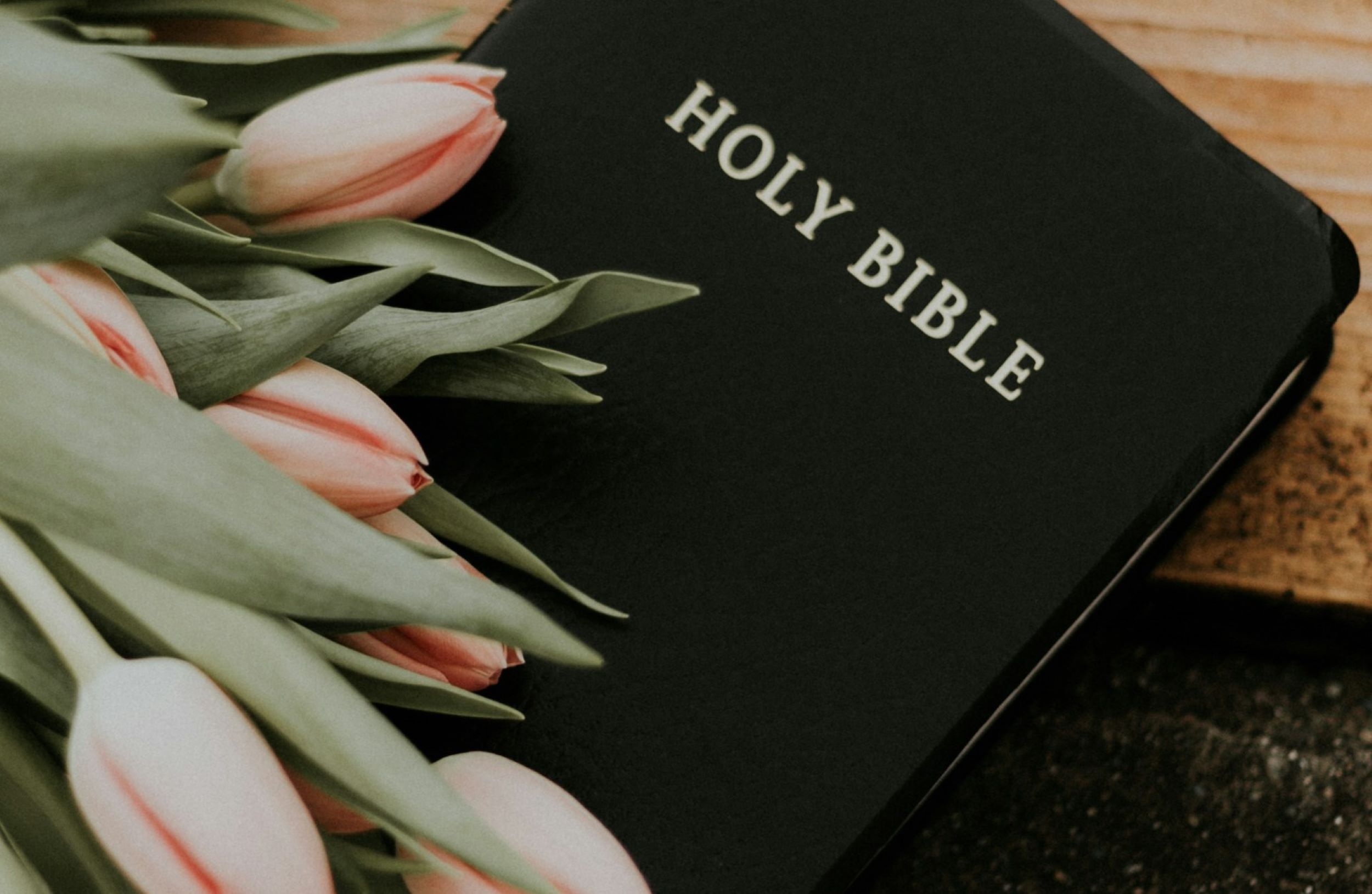 Flowers rest on a bible.