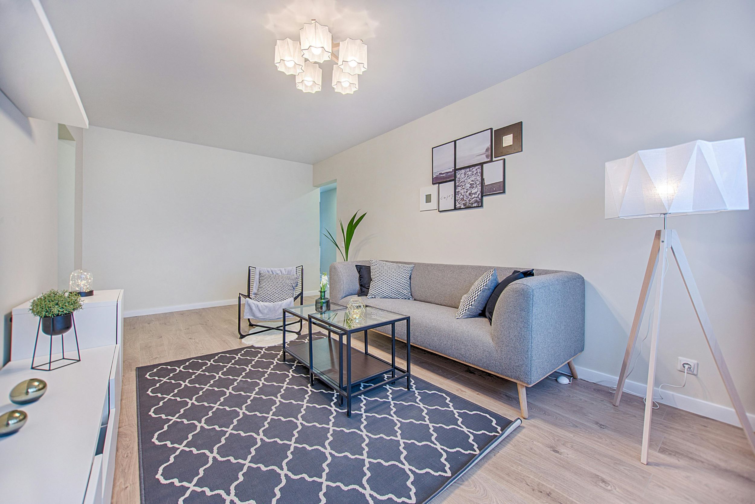 An interior image of medium-sized living room with grey and white furniture.