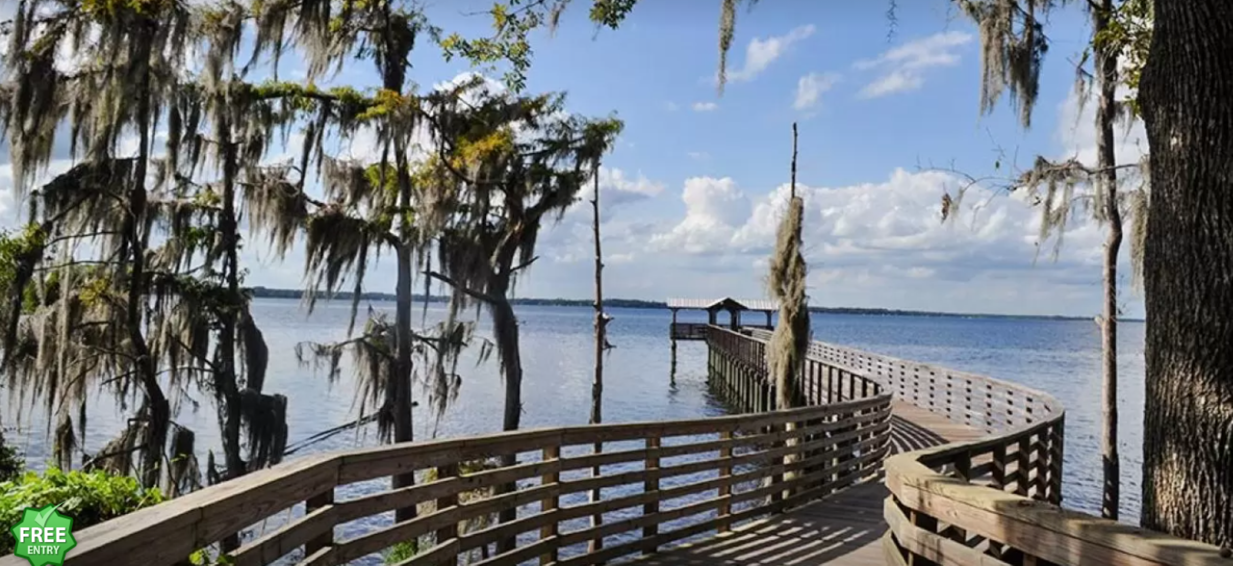 A picturesque view reveals a pier and a canopy of trees.