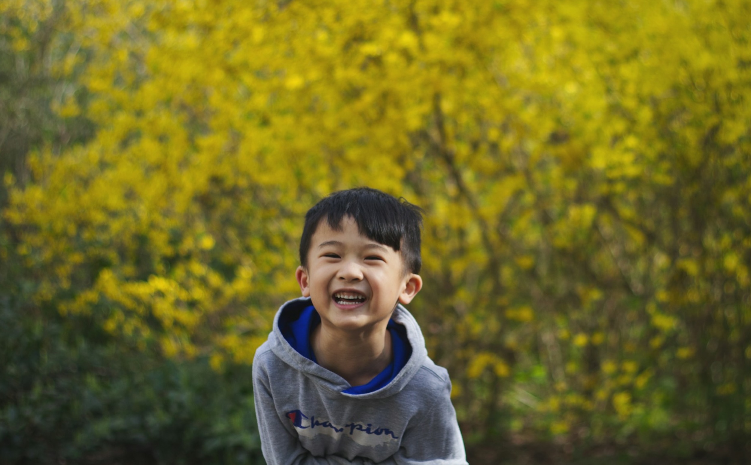A smiling child in a gray sweater stands before a softly blurred backdrop of trees.
