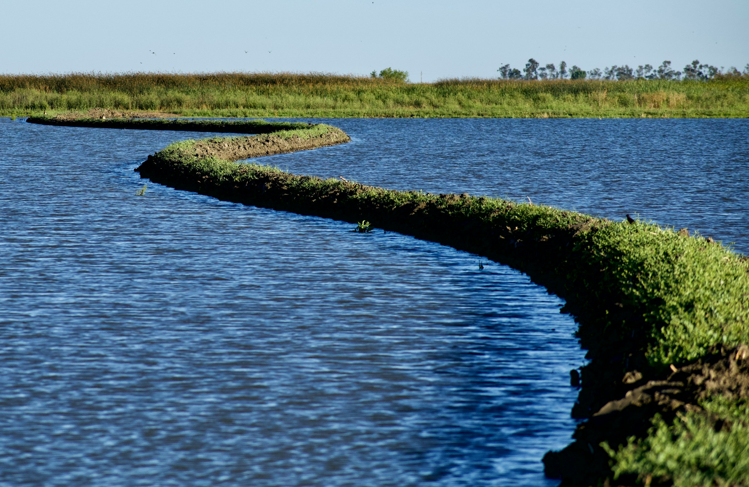 On a bright day, the open waterway glimmers as sunlight reflects off its rippling surface.