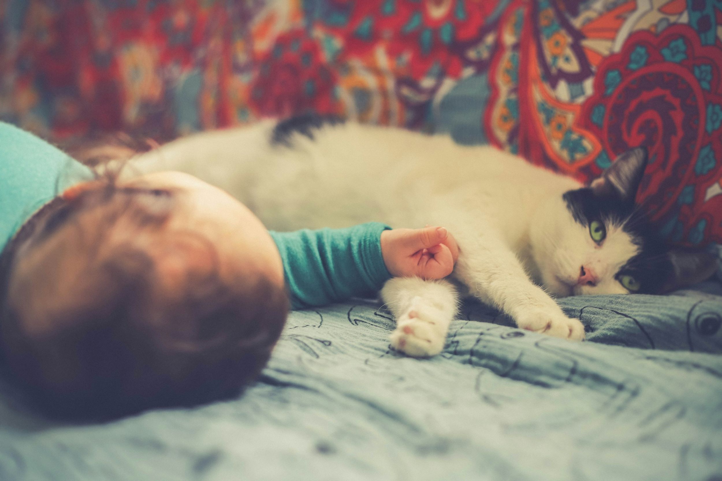 A baby lies peacefully on a bed beside a black-and-white cat.